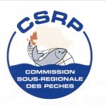 CSRP2009: Logo